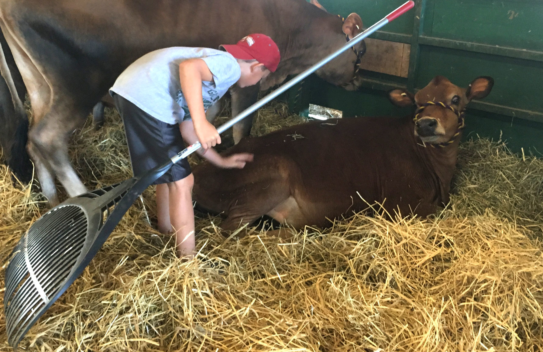 Early morning at the Washington County Fair